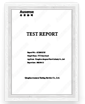 Test Report